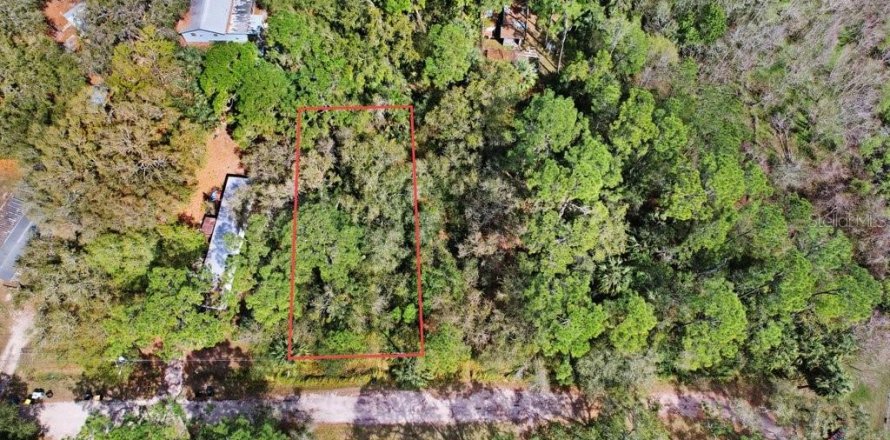Land in Lake Wales, Florida № 2218299