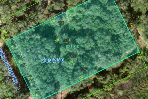 Immobilier commercial à Frostproof, Floride № 2083946