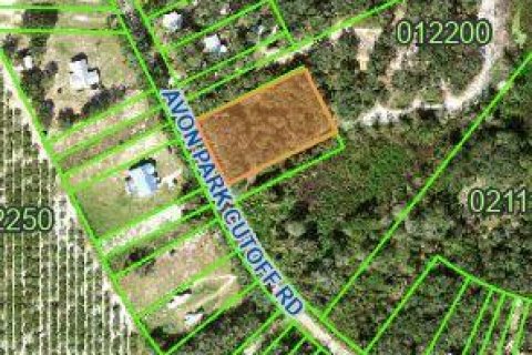 Immobilier commercial à vendre à Frostproof, Floride № 2083946 - photo 4