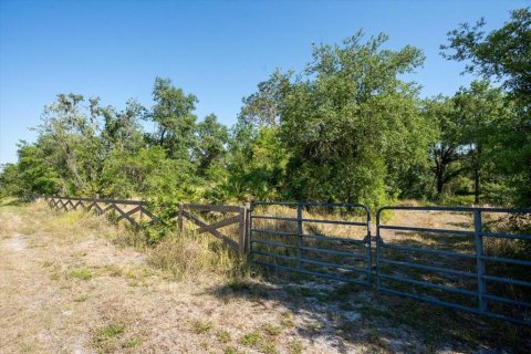 Land in Myakka City, Florida № 1640690 - photo 18
