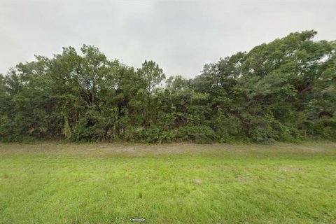 Terreno en venta en Okeechobee, Florida № 2164804 - foto 6