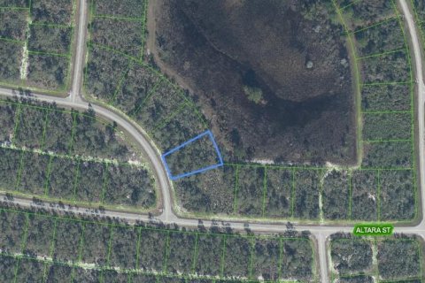 Land in Sebring, Florida № 2162622 - photo 3