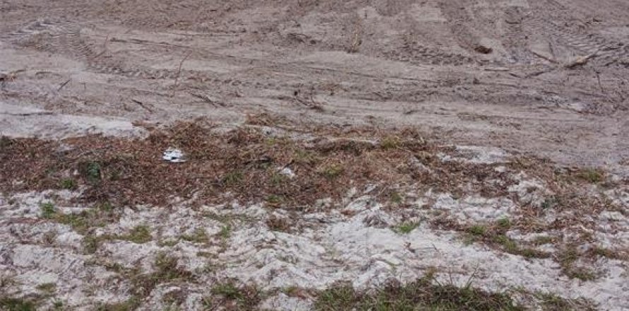 Land in Sebring, Florida № 2162622