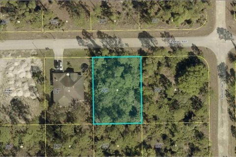 Land in Lehigh Acres, Florida № 2158815