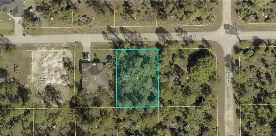 Land in Lehigh Acres, Florida № 2158815