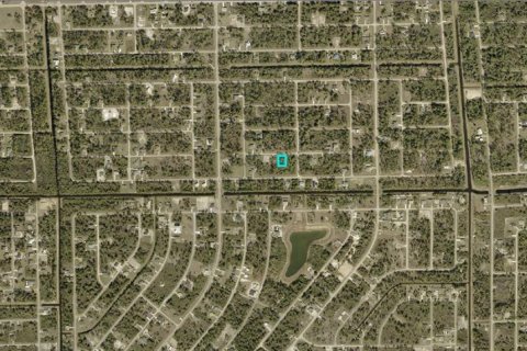 Land in Lehigh Acres, Florida № 2158815 - photo 3