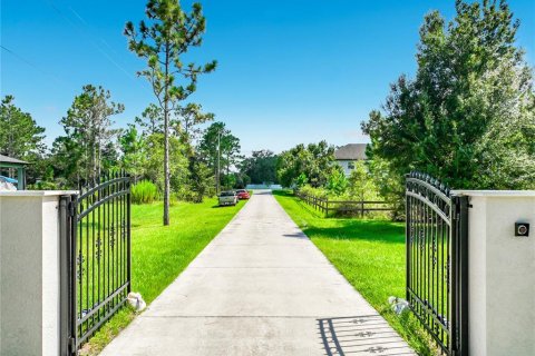 Villa ou maison à vendre à Orlando, Floride: 7 chambres, 507.53 m2 № 2304521 - photo 3