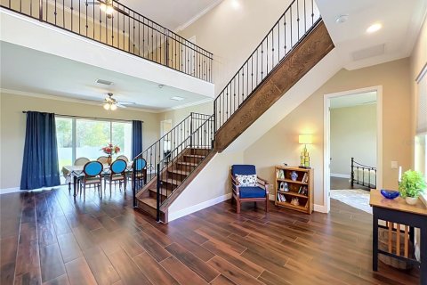 Villa ou maison à vendre à Orlando, Floride: 7 chambres, 507.53 m2 № 2304521 - photo 8
