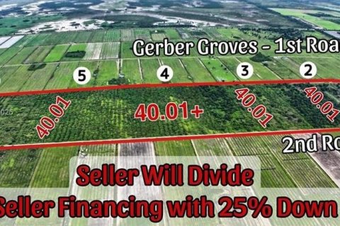 Immobilier commercial à LaBelle, Floride № 2088800