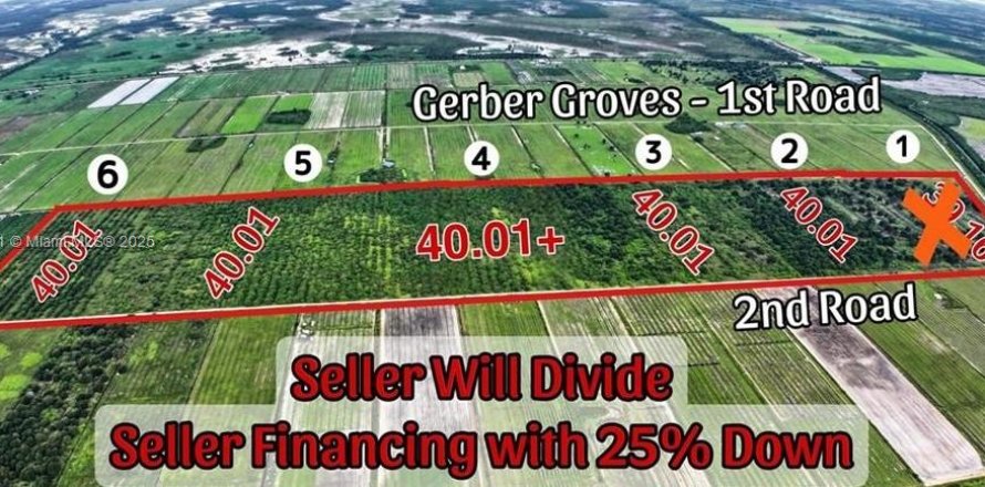 Immobilier commercial à LaBelle, Floride № 2088800
