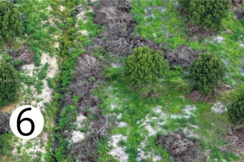 Immobilier commercial à vendre à LaBelle, Floride № 2088800 - photo 6