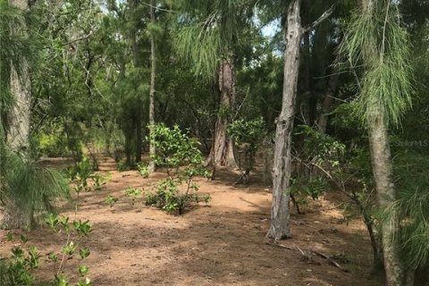 Land in Englewood, Florida № 238091 - photo 11