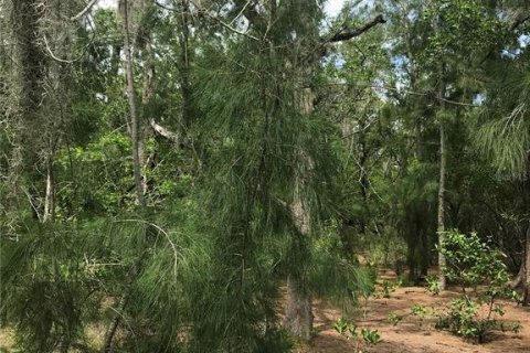 Land in Englewood, Florida № 238091 - photo 13