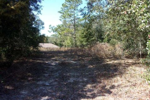 Land in Ocala, Florida № 2163930