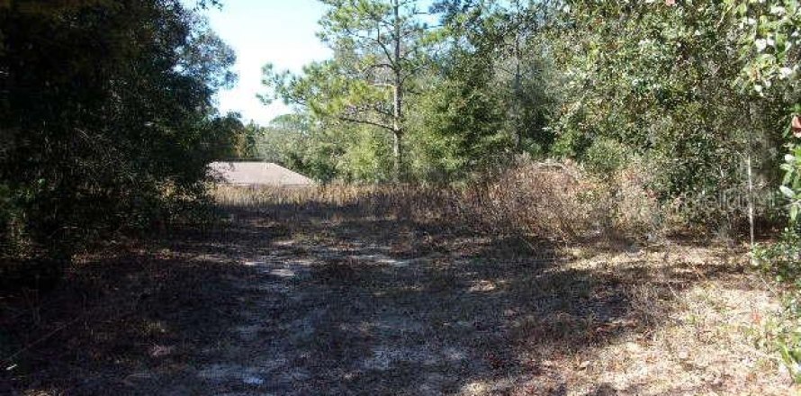 Land in Ocala, Florida № 2163930