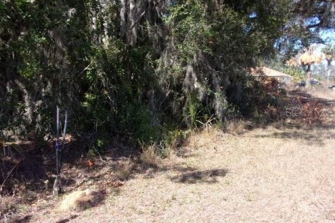 Land in Ocala, Florida № 2163930 - photo 2