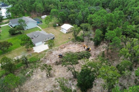 Villa ou maison à vendre à Wildwood, Floride: 3 chambres, 186.18 m2 № 1903756 - photo 7