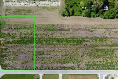 Land in Homestead, Florida № 1943203 - photo 3