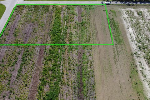 Land in Homestead, Florida № 1943203 - photo 5