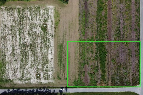 Land in Homestead, Florida № 1943203 - photo 2