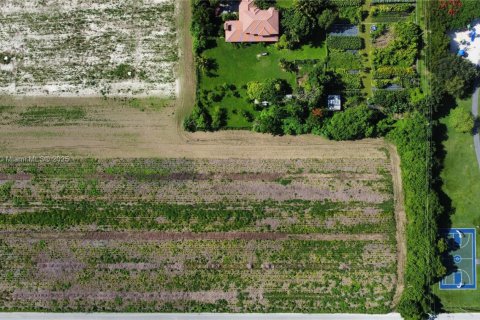 Land in Homestead, Florida № 1943203 - photo 7