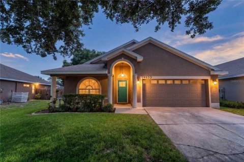 House in Lutz, Florida 4 bedrooms, 174.75 sq.m. № 2238594