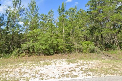 Land in Ocklawaha, Florida № 1718914 - photo 5