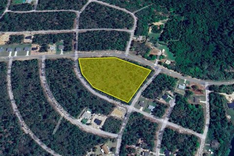 Land in Ocklawaha, Florida № 1718914 - photo 4
