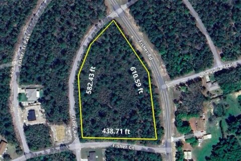 Land in Ocklawaha, Florida № 1718914 - photo 3