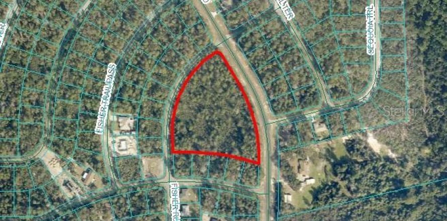Land in Ocklawaha, Florida № 1718914