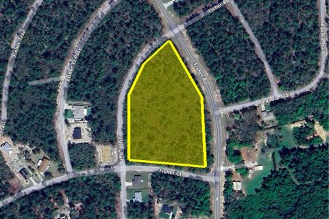 Land in Ocklawaha, Florida № 1718914 - photo 2