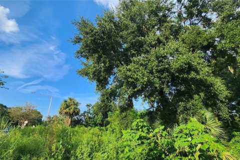 Land in Orlando, Florida № 1547677 - photo 14