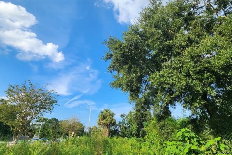 Land in Orlando, Florida № 1547677 - photo 1