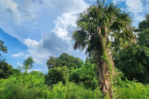 Land in Orlando, Florida № 1547677 - photo 13