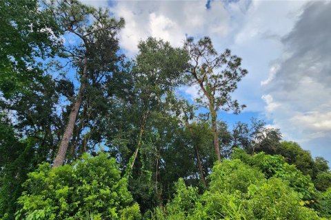 Land in Orlando, Florida № 1547677 - photo 11