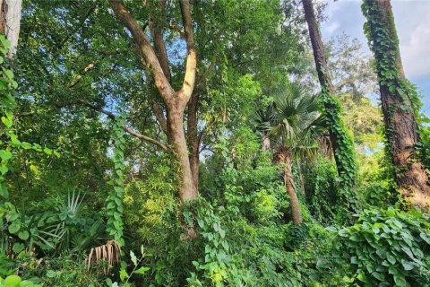 Land in Orlando, Florida № 1547677 - photo 10
