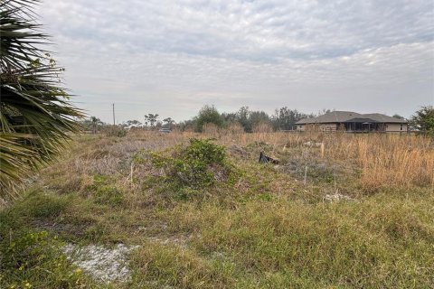 Land in Punta Gorda, Florida № 2160146 - photo 3