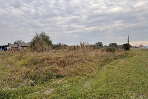 Land in Punta Gorda, Florida № 2160146 - photo 2