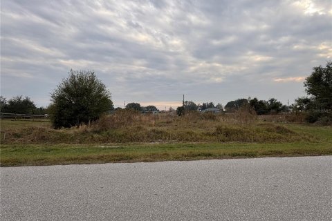 Land in Punta Gorda, Florida № 2160146