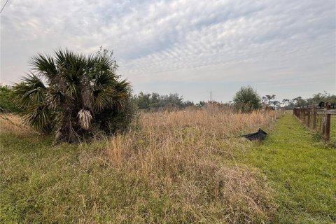 Land in Punta Gorda, Florida № 2160146 - photo 4
