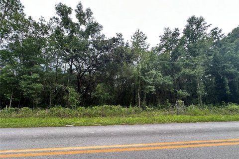 Terrain à Bronson, Floride № 2196680