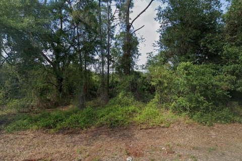 Land in Lehigh Acres, Florida № 2164254