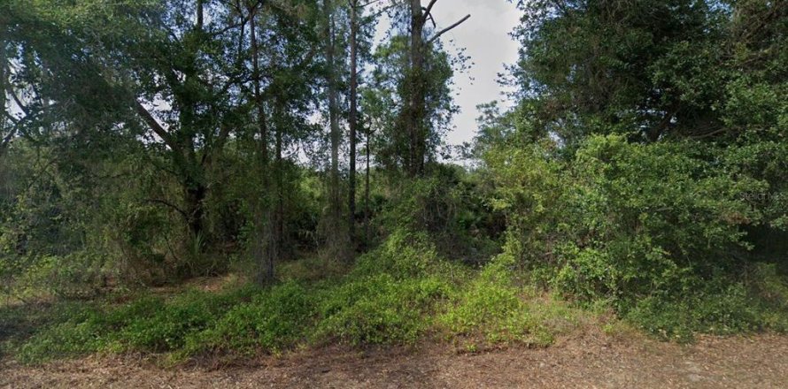 Land in Lehigh Acres, Florida № 2164254