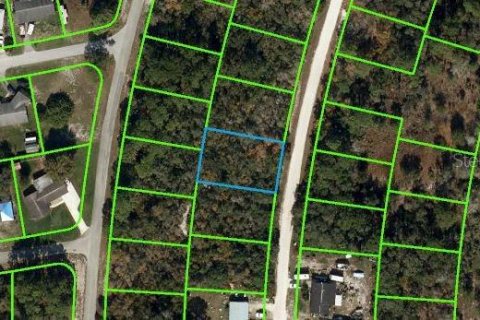 Land in Lake Placid, Florida № 2223931