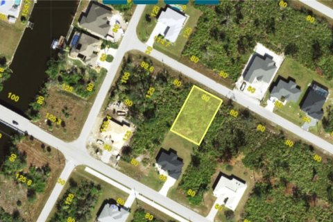 Land in Port Charlotte, Florida № 2238788