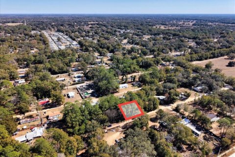Land in Ocala, Florida № 2163479 - photo 6
