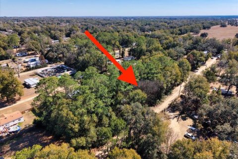 Land in Ocala, Florida № 2163479 - photo 25