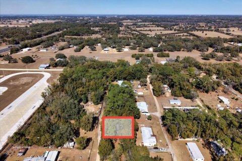 Land in Ocala, Florida № 2163479 - photo 7