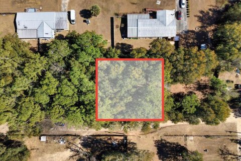 Land in Ocala, Florida № 2163479 - photo 5