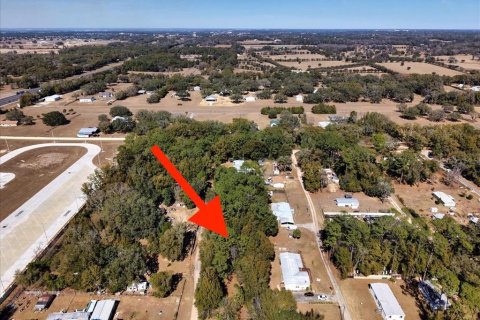 Land in Ocala, Florida № 2163479 - photo 28